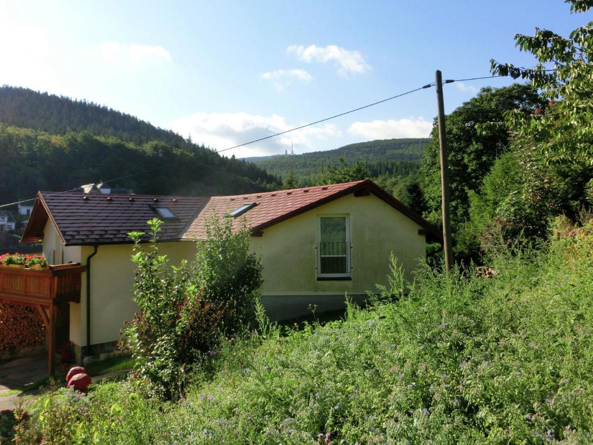 Cottage Near A Ski Resort Winterstein Exteriör bild